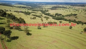 fazenda, uberlândia/mg