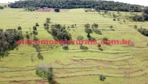 fazenda, uberlândia/mg