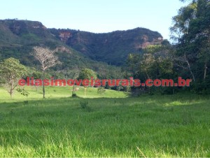 fazenda, caiapônia/go