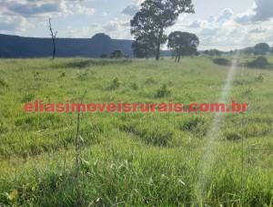 fazenda, caiapônia/go