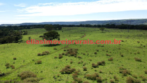 fazenda, tupaciguara/mg