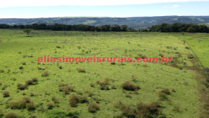 fazenda, tupaciguara/mg